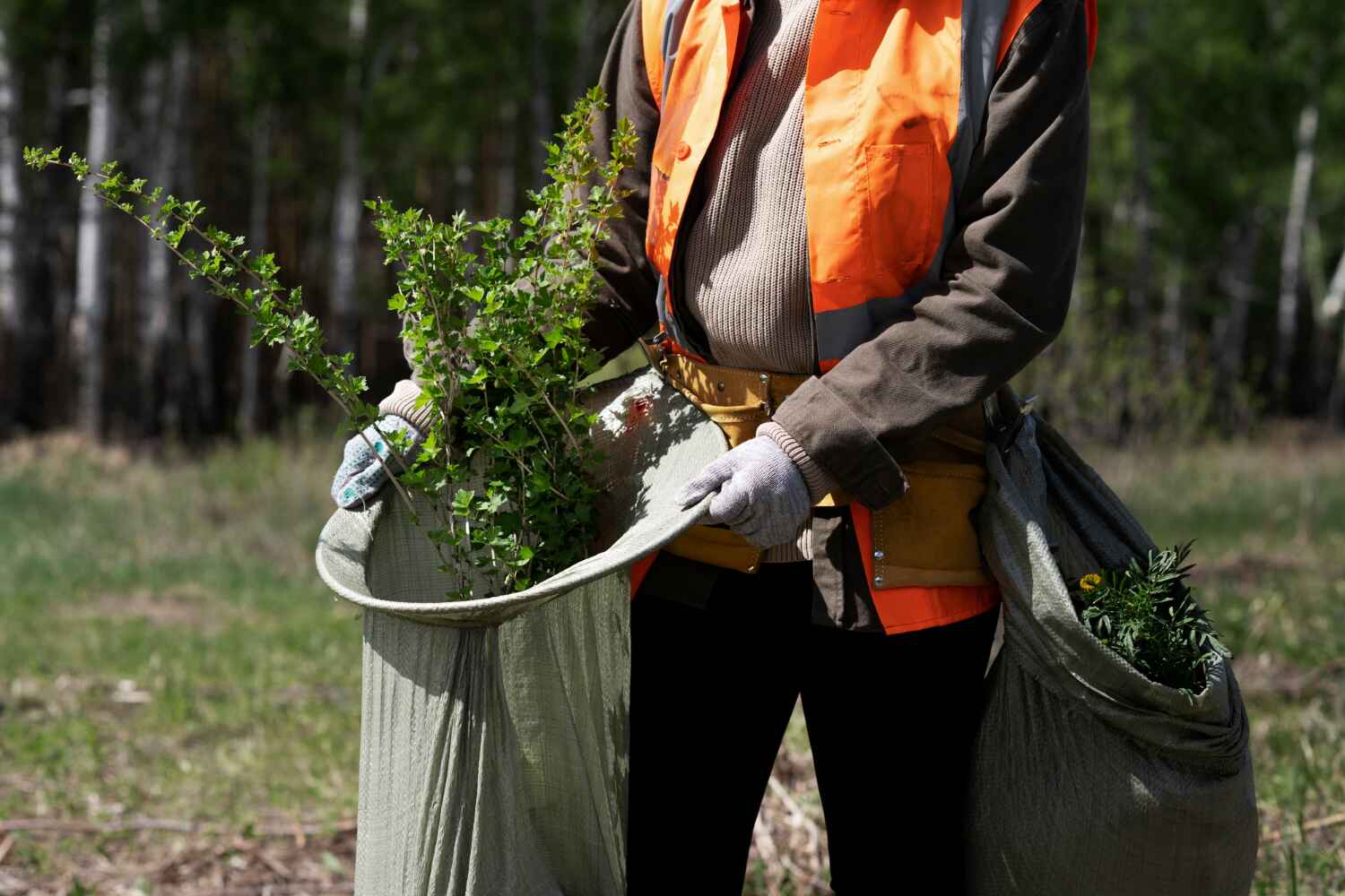 Best Affordable Tree Cutting  in Fort Morgan, CO